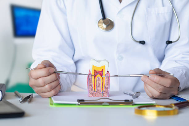 Best Emergency Dentist for Lost Fillings or Crowns in Roanoke, TX
